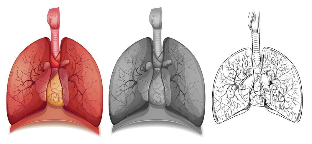Caractère 1Doodle pour les poumons humains vecteur