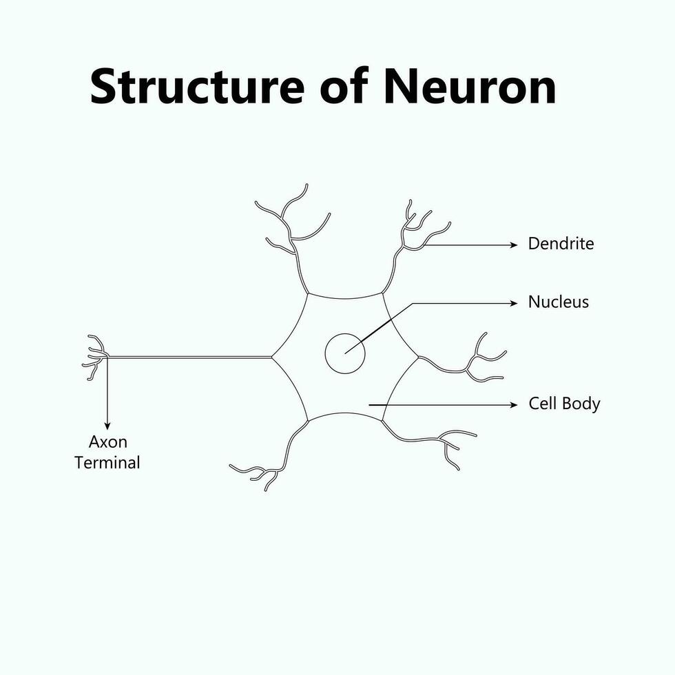 moléculaire abstrait structure Contexte. scientifique vecteur illustration avec molécule ADN. médical, science et La technologie concept pour bannière modèle ou entête.