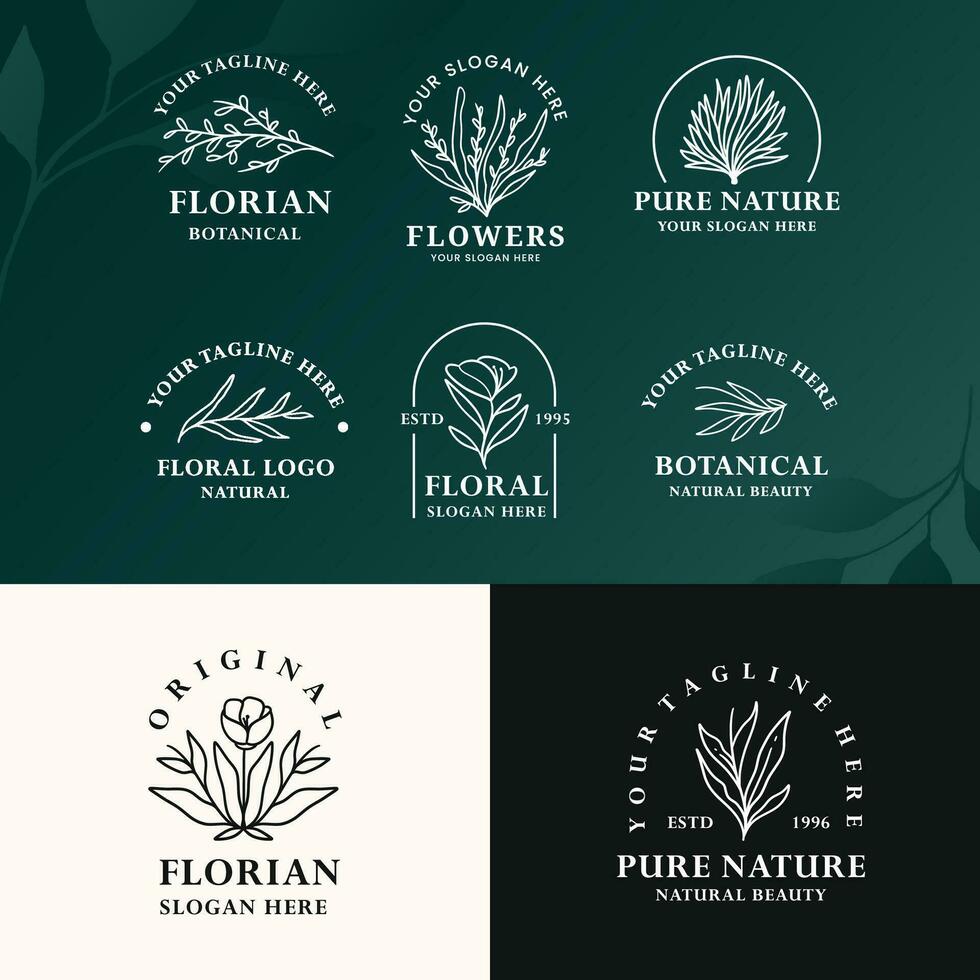 moderne minimaliste ligne art botanique baho logo conception vecteur