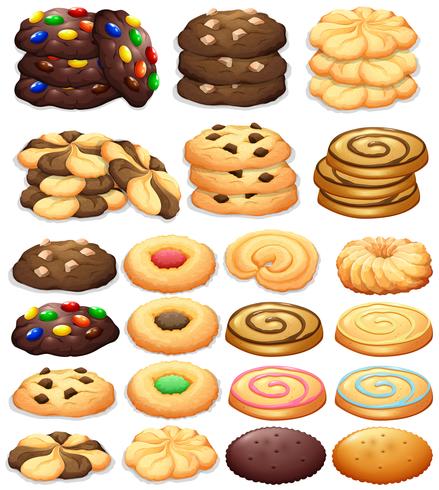 Différents types de cookies vecteur