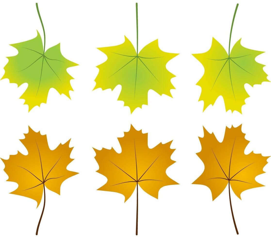 l'automne feuilles feuillage déchue graphique illustré couleurs or Orange vert vecteur