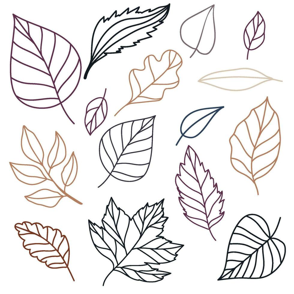 ensemble de vecteur contour illustration de feuilles de érable, chêne, bouleau dans confortable l'automne couleurs. objets pour scrapbooking, textile ou livre couvertures, fonds d'écran, conception, graphique art, impression, passe-temps, invitation