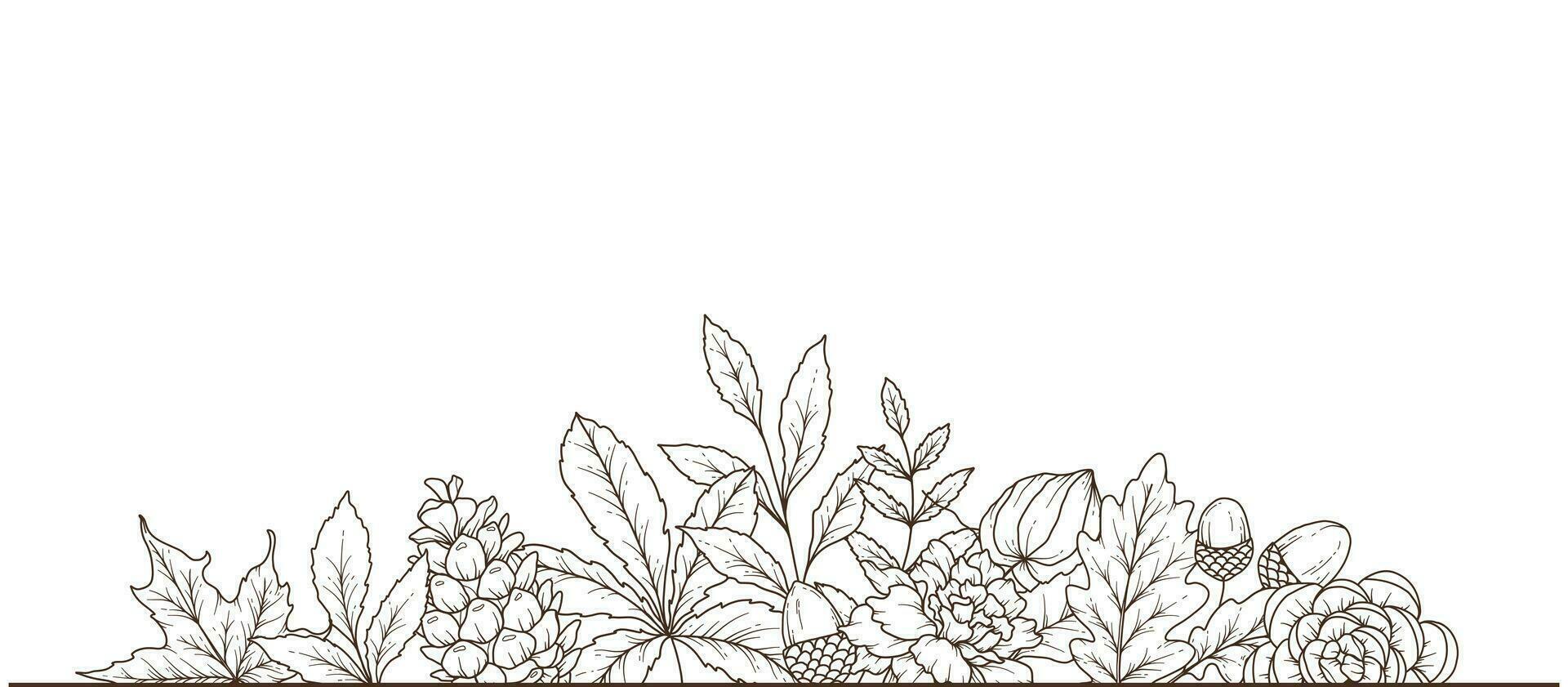 tomber floral Cadre contour. tomber feuillage ligne art illustration, contour feuilles arrangement main tiré illustration. tomber coloration page avec feuilles vecteur