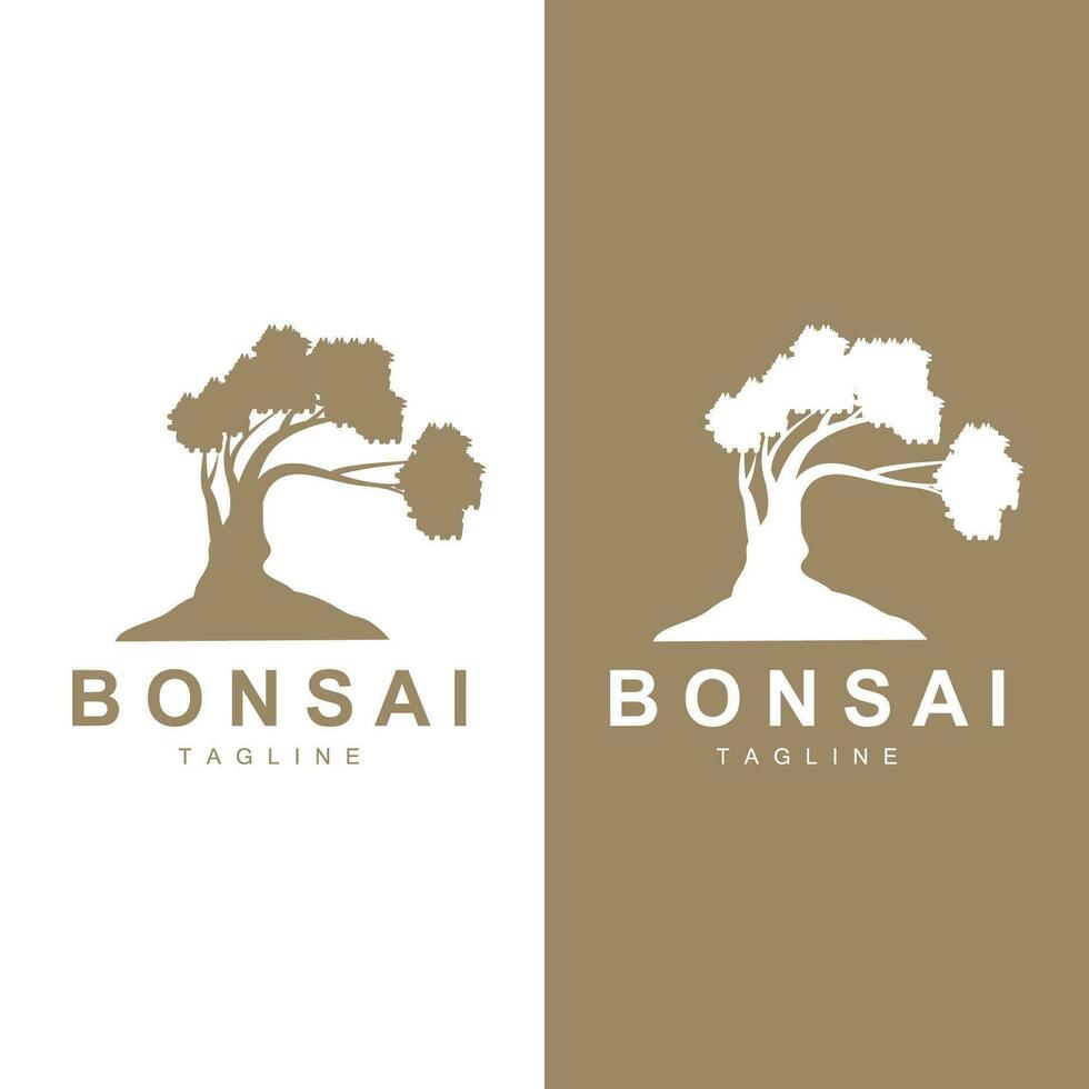 bonsaï arbre logo vecteur symbole illustration conception