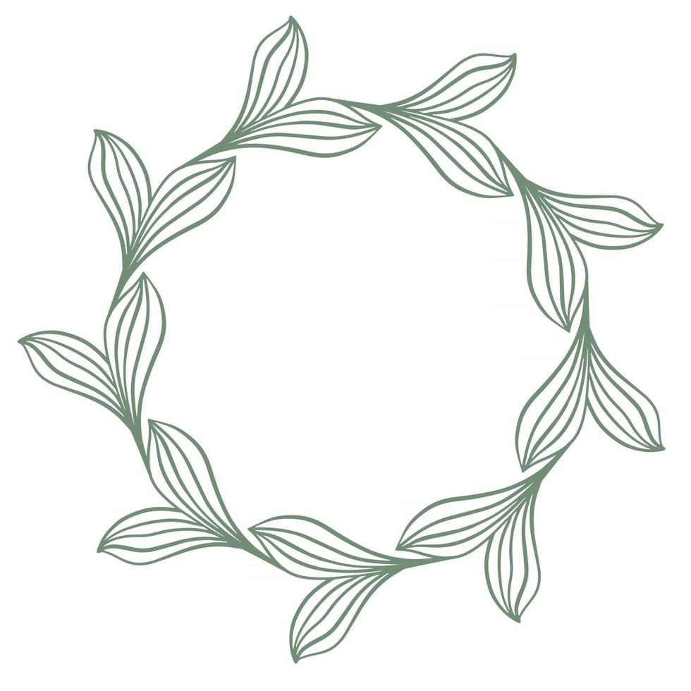 cadre circulaire gracieux botanique de feuilles vector illustration