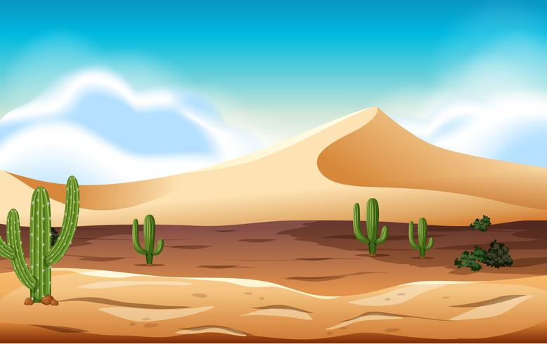 désert avec des dunes et des cactus vecteur