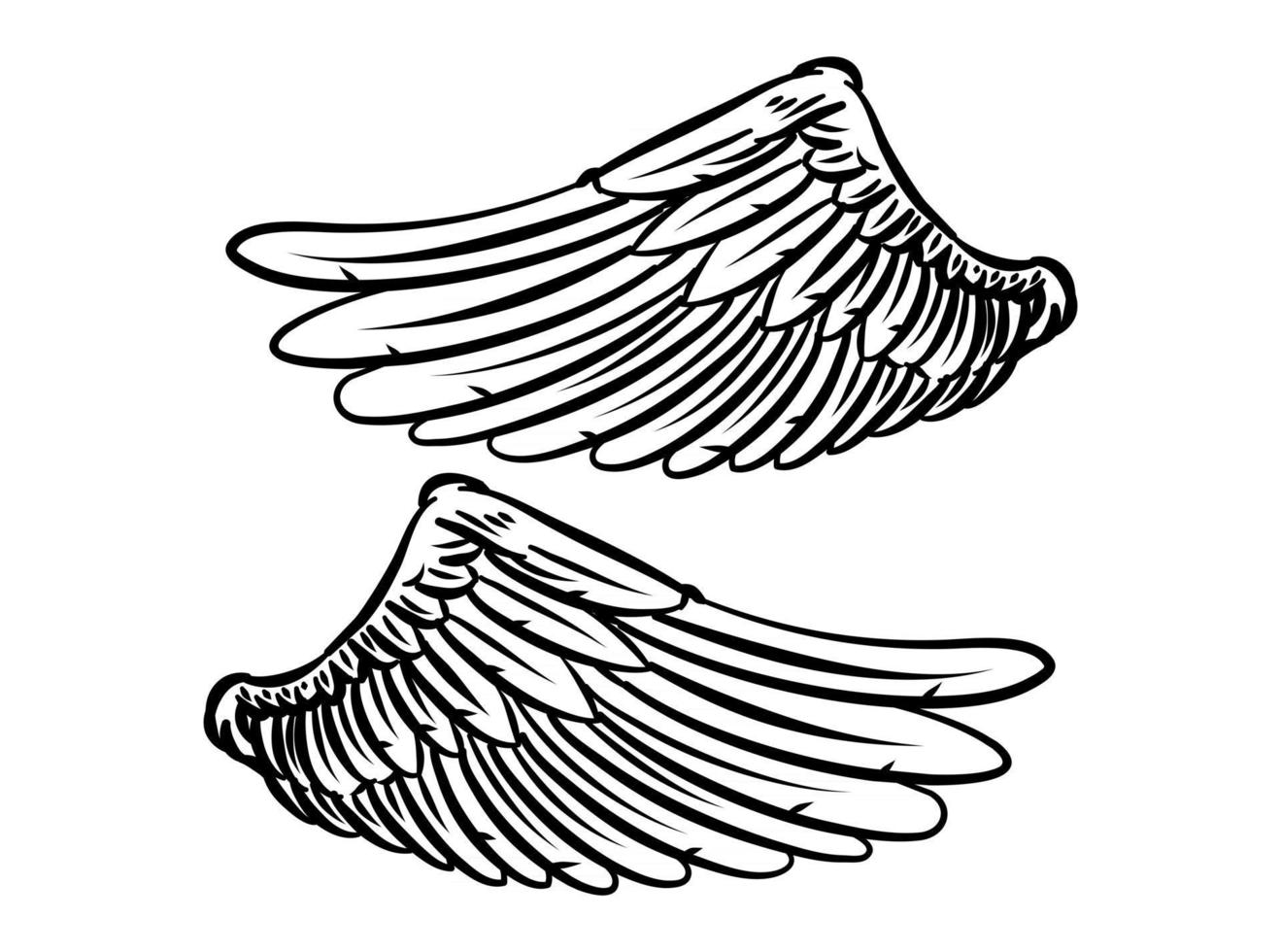illustration d'ailes d'oiseaux pour élément de marque vecteur