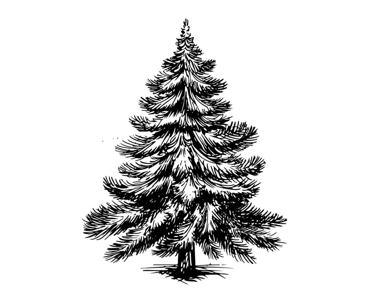 arbre de noël illustration dessinée à la main vecteur