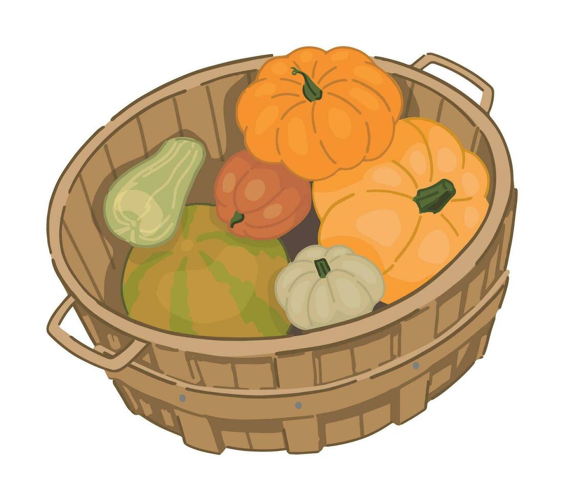 clipart de panier avec citrouilles. griffonnage de l'automne agricole récolte. dessin animé vecteur illustration isolé sur blanc Contexte.