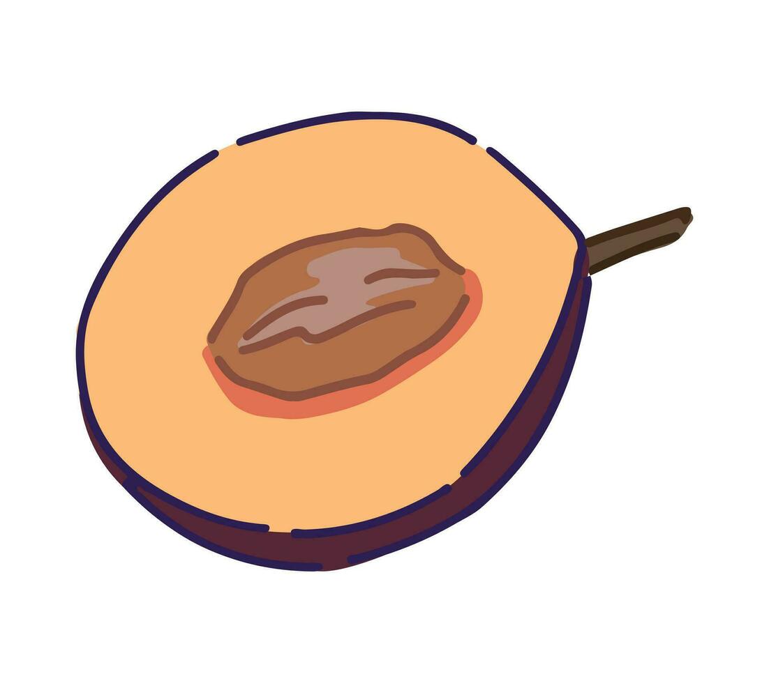 clipart de moitié une prune fruit. griffonnage de l'automne jardin récolte. dessin animé vecteur illustration isolé sur blanc Contexte.