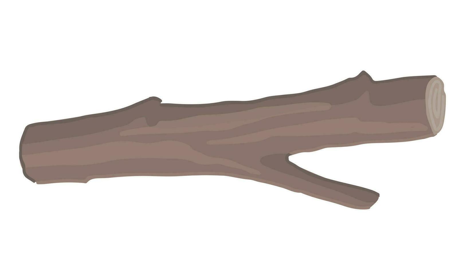 dessin animé clipart de bois brindille. griffonnage de Naturel arbre bifurquer, forêt bâton. contemporain vecteur illustration isolé sur blanc Contexte.