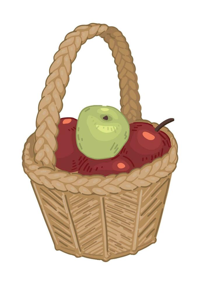 clipart de osier panier de pommes. griffonnages de l'automne jardin récolte. dessin animé vecteur illustration isolé sur blanc Contexte.
