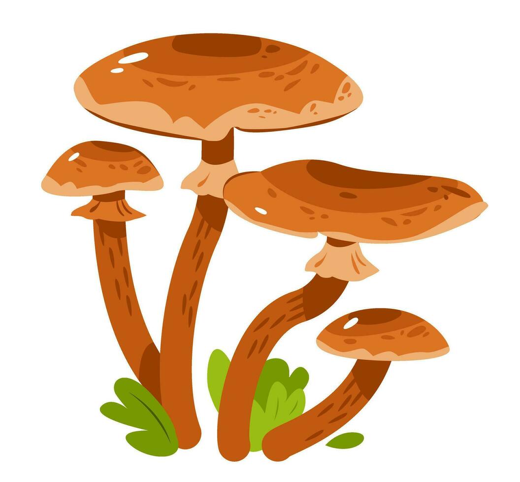 comestible champignon. dessin animé vecteur illustration.