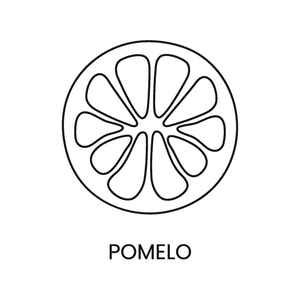 pomélo ligne icône dans vecteur, agrumes fruit illustration vecteur