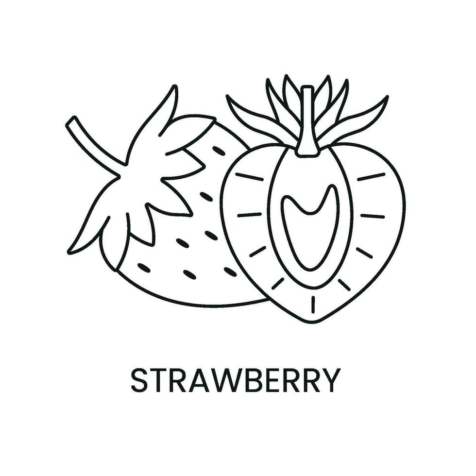 fraise ligne icône dans vecteur, baie illustration. vecteur