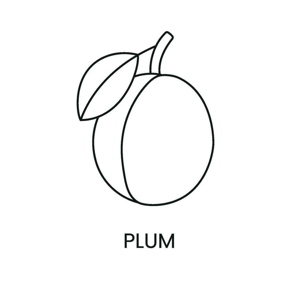 prune ligne icône dans vecteur, fruit illustration. vecteur