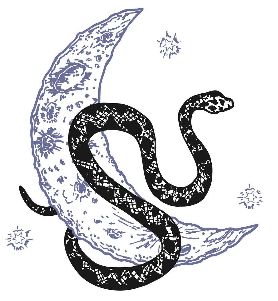 vecteur abstrait la magie illustration avec céleste serpent, lune et étoiles. mystique sorcier symbole. boho branché ésotérique serpent symbole pour affiche imprimer, mode, tissu, textile, papier, tatouage. isolé
