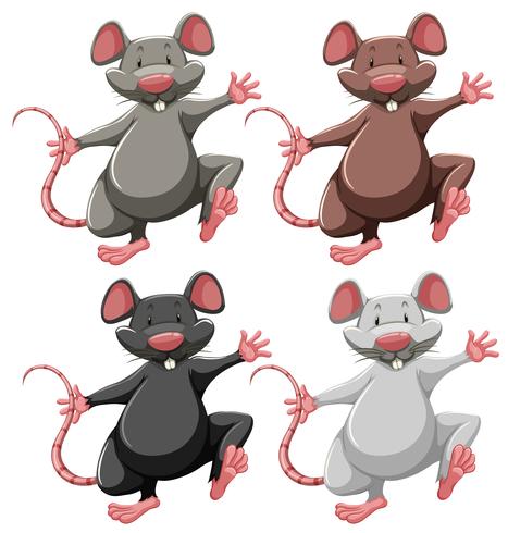 Quatre souris vecteur