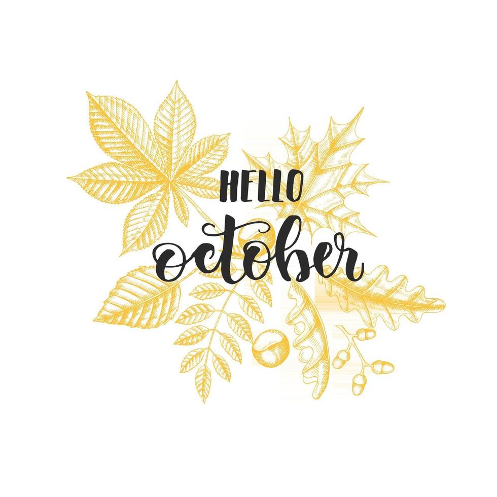 phrase de calligraphie de lettrage d'automne - bonjour octobre. feuilles dessinées à la main vecteur