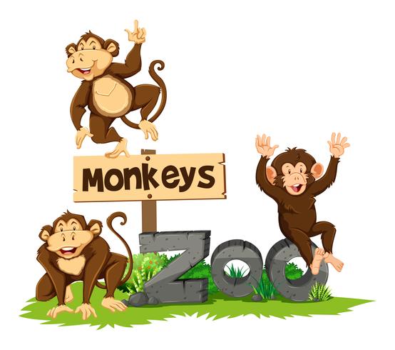 Trois singes au zoo vecteur