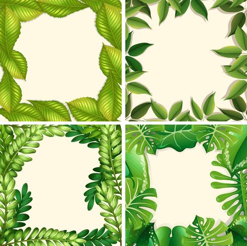 Un ensemble de bordure de feuille verte vecteur