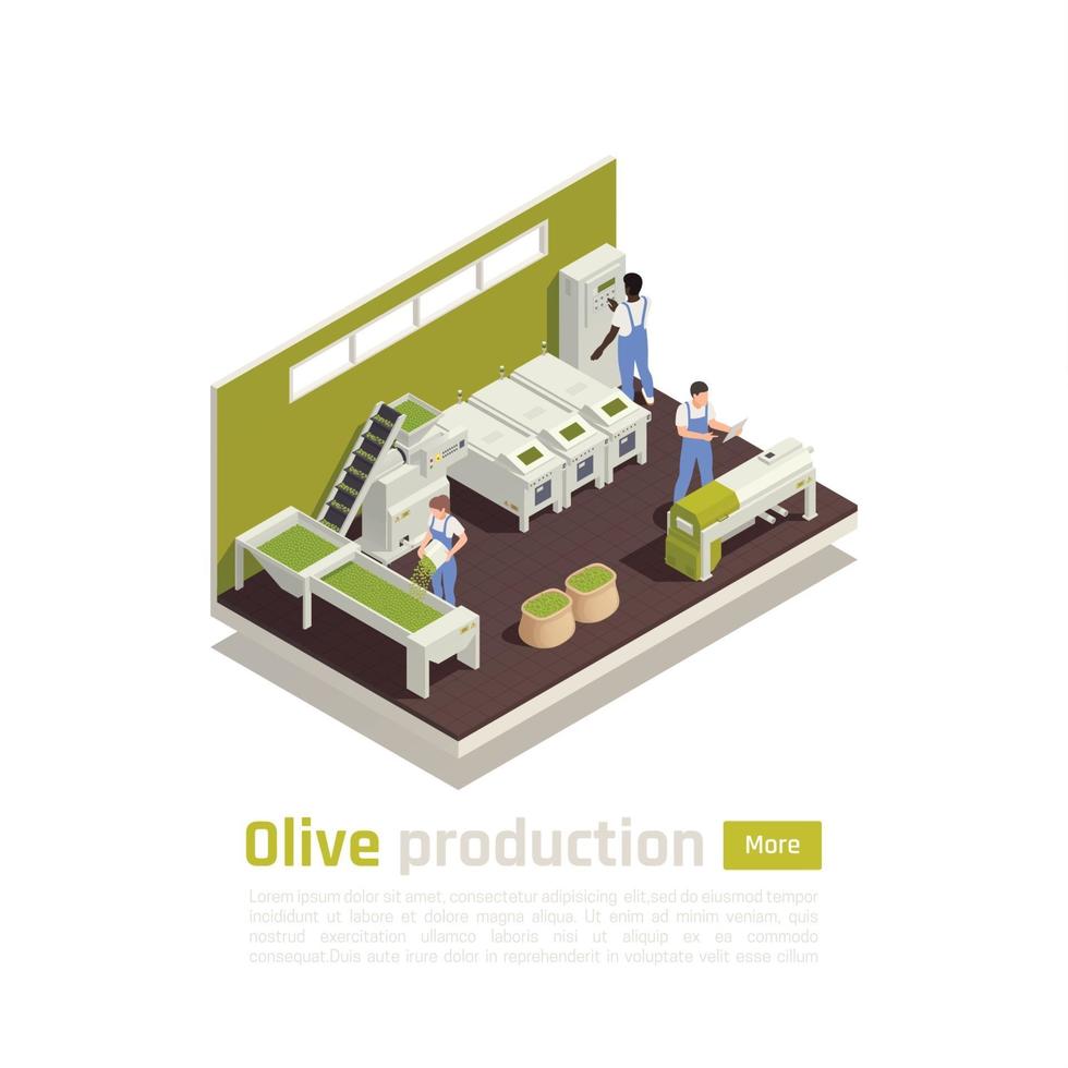 illustration vectorielle de production d'olives composition isométrique vecteur