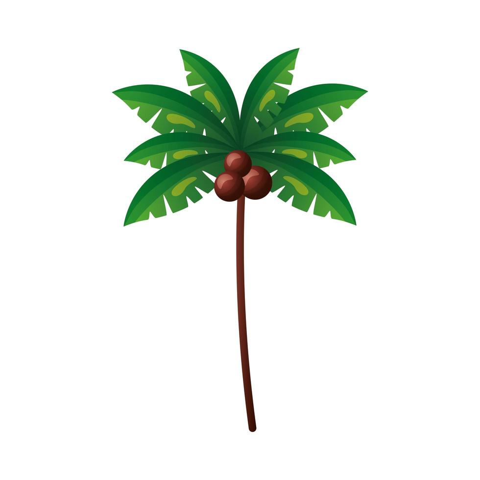 conception de vecteur de palmier isolé