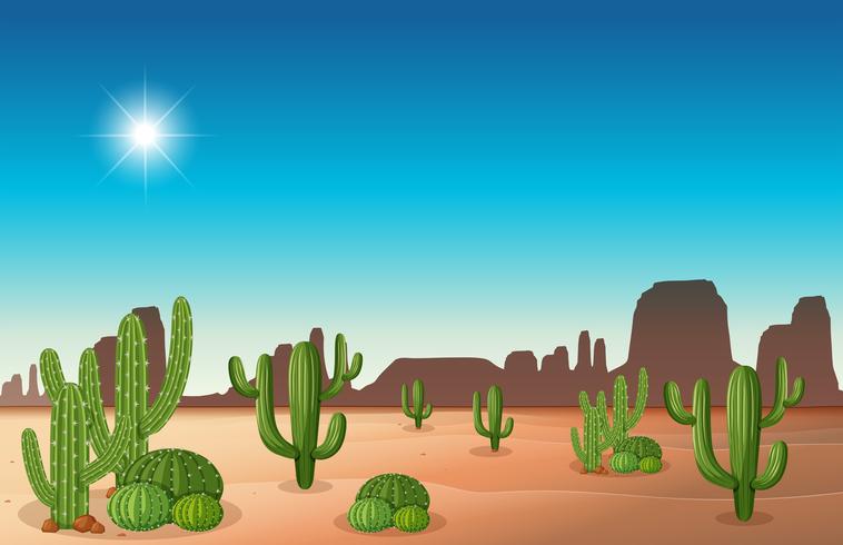 Scène de désert avec cactus vecteur