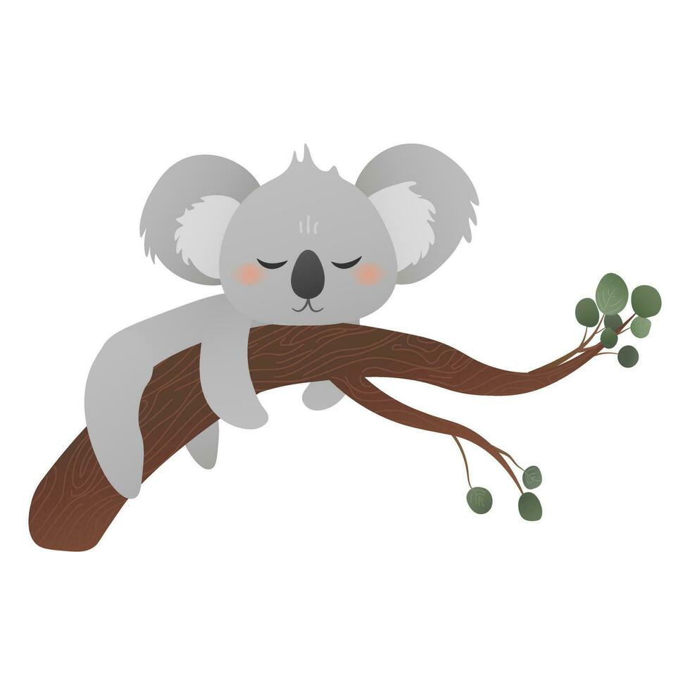 dessin animé koala en train de dormir sur arbre avec eucalyptus feuilles, salutation carte ou autocollant pour des gamins vecteur