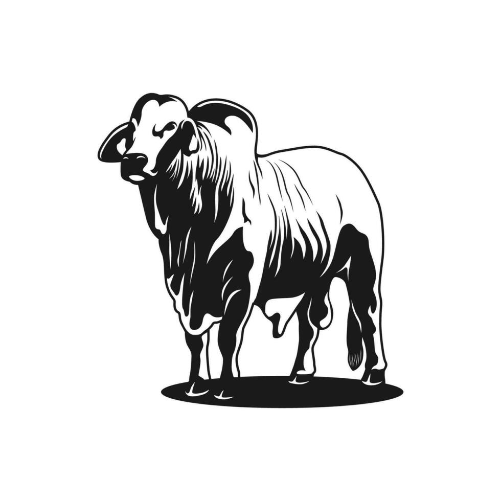 brahmane vache logo, vecteur image illustration