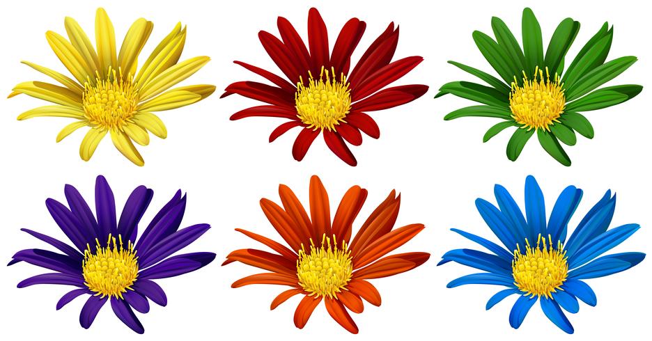 Fleurs en six couleurs différentes vecteur