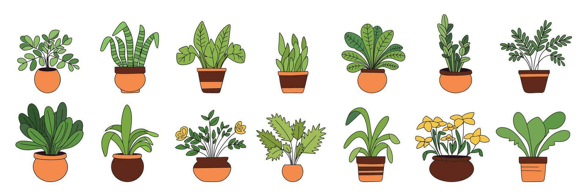 collection de plantes d'intérieur, coloré contour. main tiré plante d'appartement avec contour isolé sur blanc Contexte. vecteur illustration.