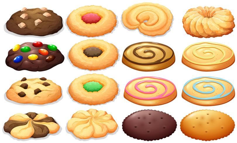 Différents types de cookies vecteur