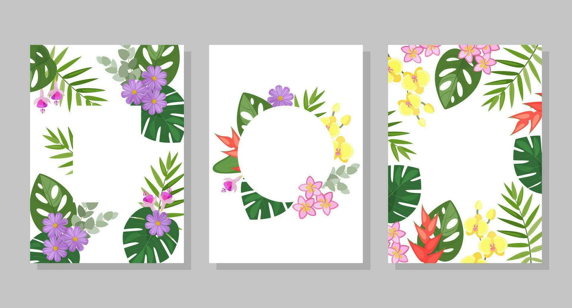 ensemble de tropical fleur compositions, arrière-plans, cadres, cartes postales. vecteur botanique illustration pour brochure, invitation ou prospectus.