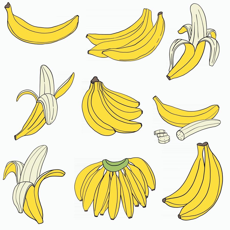 doodle croquis à main levée dessin de banane. vecteur