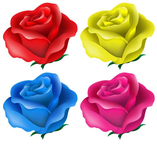 Roses colorées vecteur
