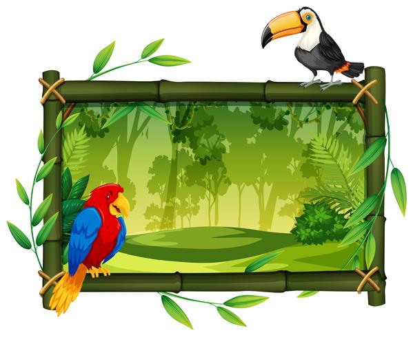 Oiseaux sur cadre photo jungle vecteur