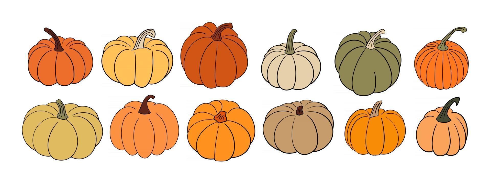 grand ensemble de diverses courges citrouilles dessinées à la main dans des couleurs chaudes d'automne vecteur