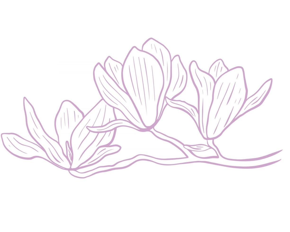 vecteur de croquis minimaliste de fleur de magnolia