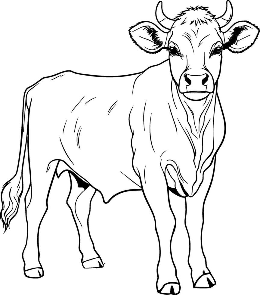 réaliste vache vecteur illustration
