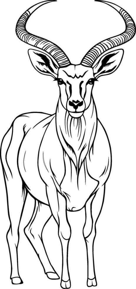 réaliste antilope vecteur illustration 29