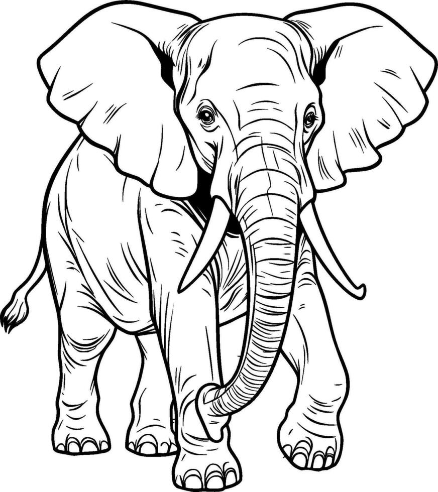 réaliste l'éléphant vecteur illustration