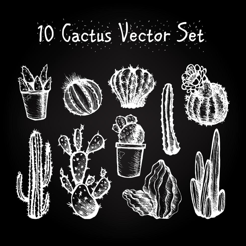 ensemble de cactus isolés dessinés à la main vecteur
