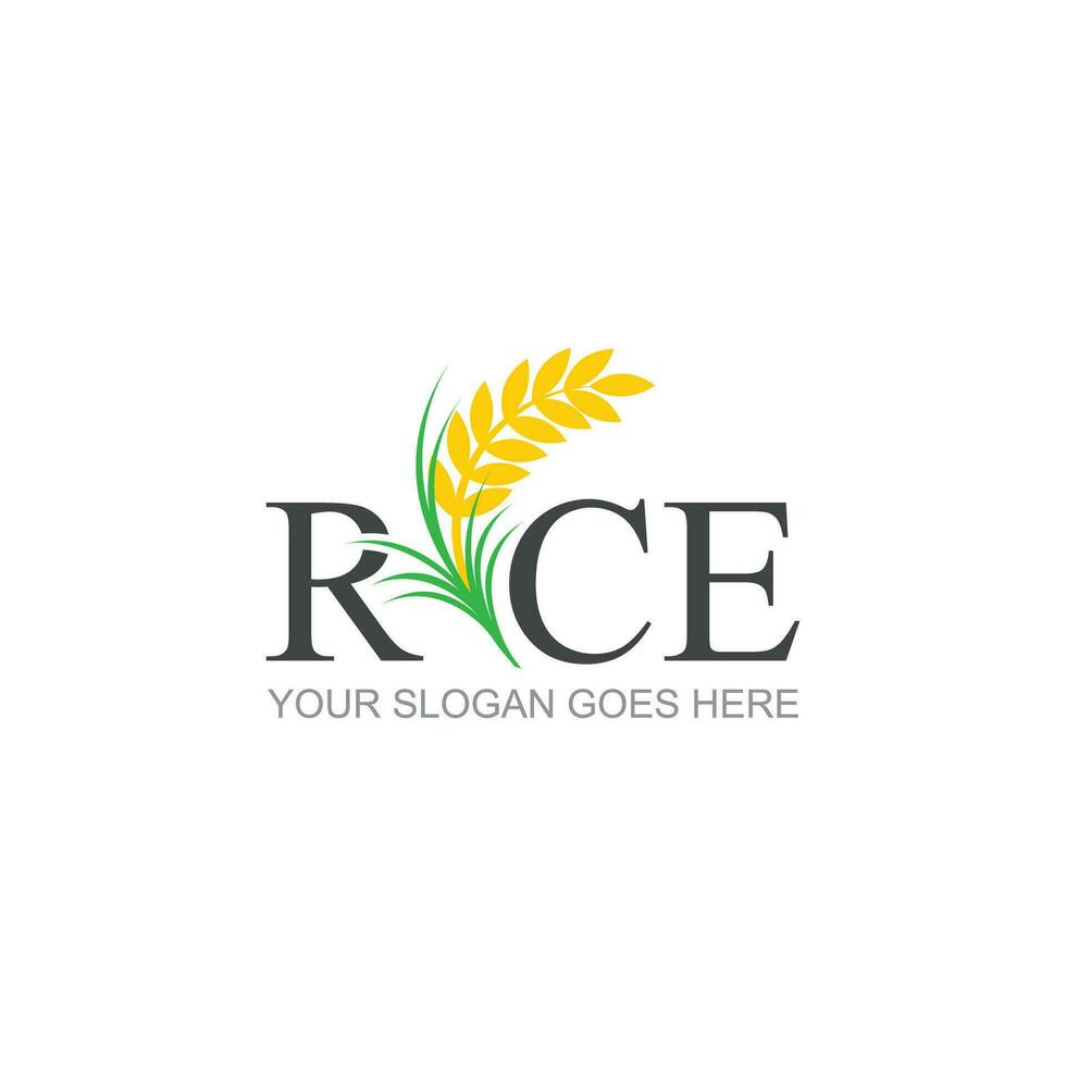 riz ou blé grain agriculture logo conception pour votre affaires et produit des noms ou pour tout votre des idées vecteur