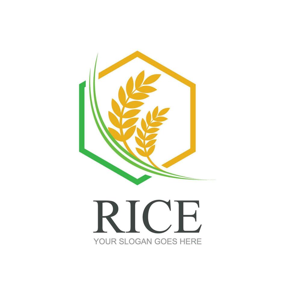 riz ou blé grain agriculture logo conception pour votre affaires et produit des noms ou pour tout votre des idées vecteur