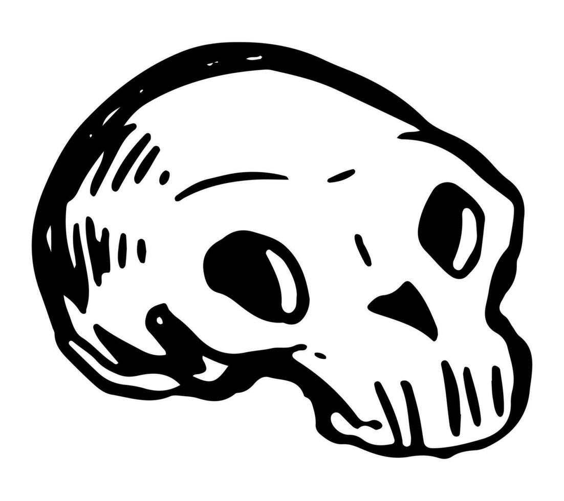 griffonnage de marrant Humain crâne. Halloween main tiré vecteur illustration. rétro contour clipart pour effrayant décor isolé sur blanche.