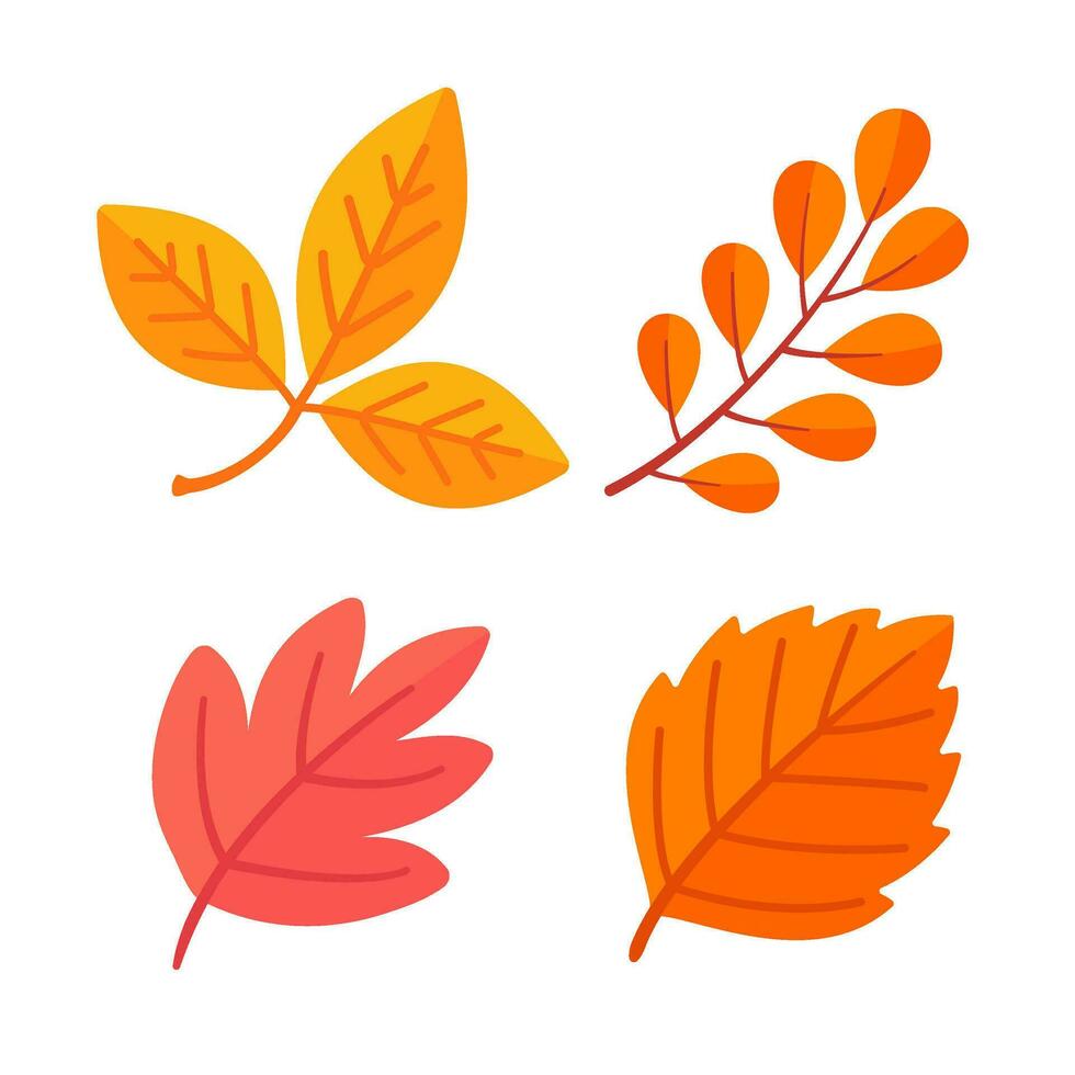 magnifique feuille composition. feuilles changement Couleur dans l'automne vecteur