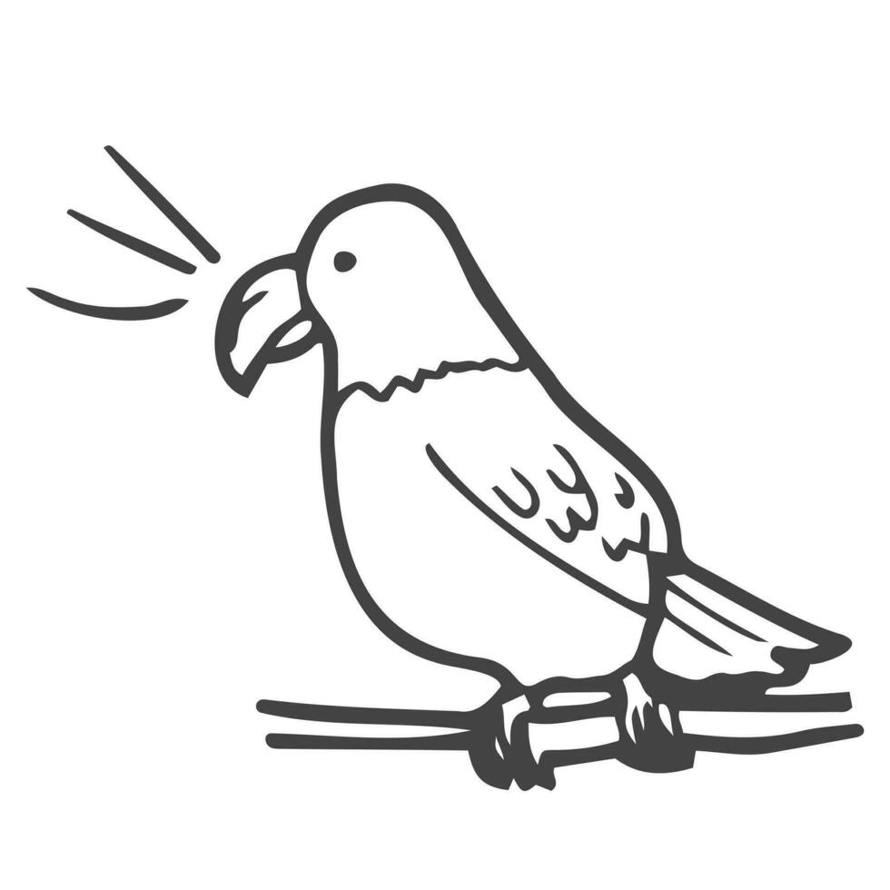 griffonnage perroquet esquisser dans vecteur. ligne dessin de perroquet animal de compagnie concept vecteur