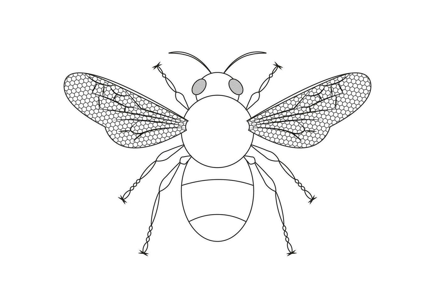 noir et blanc abeille vecteur clipart. coloration page de une abeille