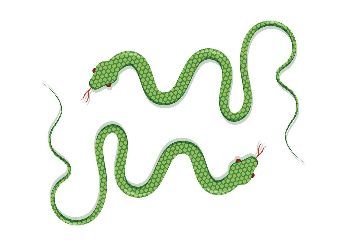 serpent vecteur plat conception isolé sur blanc Contexte. vecteur illustration de deux vert serpents